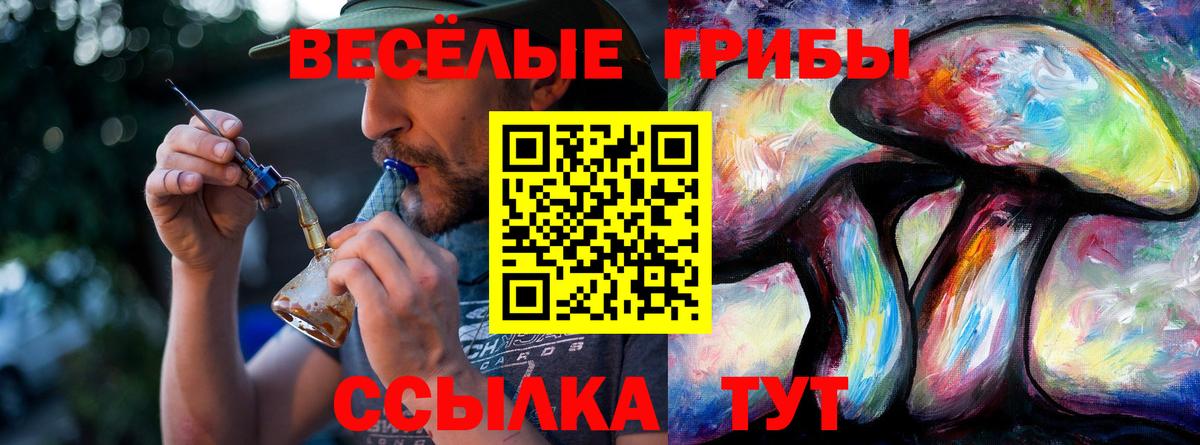 Галлюциногенные грибы мицелий  Вход с VPN  Галлюциногенные грибы GOLDEN TEACHER  Топки 